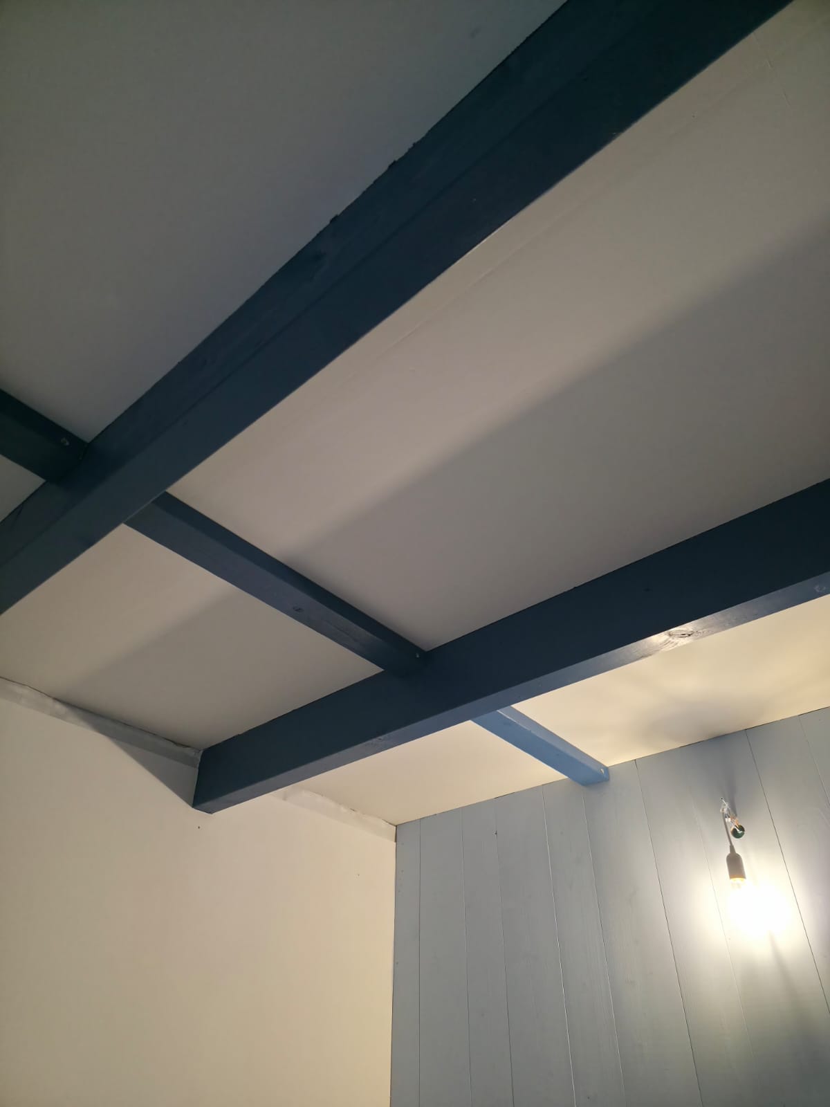 Exposed steel ceiling beams and timber joists during new construction